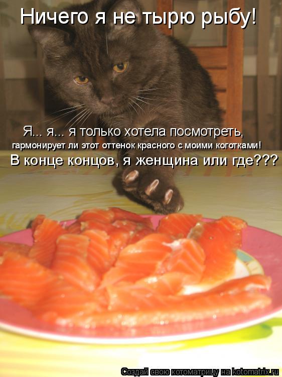 Котоматрица: Ничего я не тырю рыбу! Я... я... я только хотела посмотреть, гармонирует ли этот оттенок красного с моими коготками! В конце концов, я женщина и