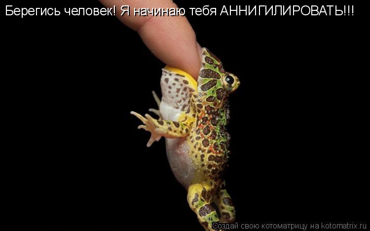 Котоматрица: Берегись человек! Я начинаю тебя АННИГИЛИРОВАТЬ!!!