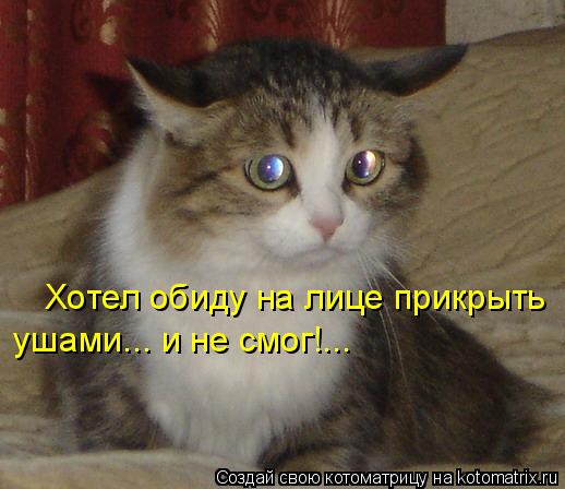 Котоматрица: Хотел обиду на лице прикрыть  ушами... и не смог!...