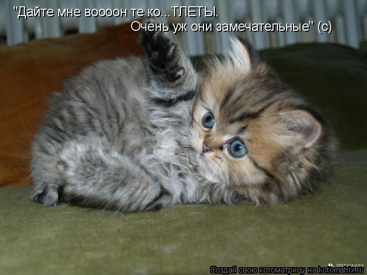 Котоматрица: "Дайте мне воооон те ко...ТЛЕТЫ. Очень уж они замечательные" (с)