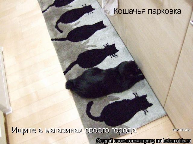 Котоматрица: Кошачья парковка Ищите в магазинах своего города