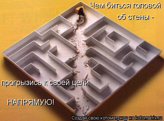 Котоматрица: Чем  Чем биться головой об стены - прогрызись к своей цели НАПРЯМУЮ!