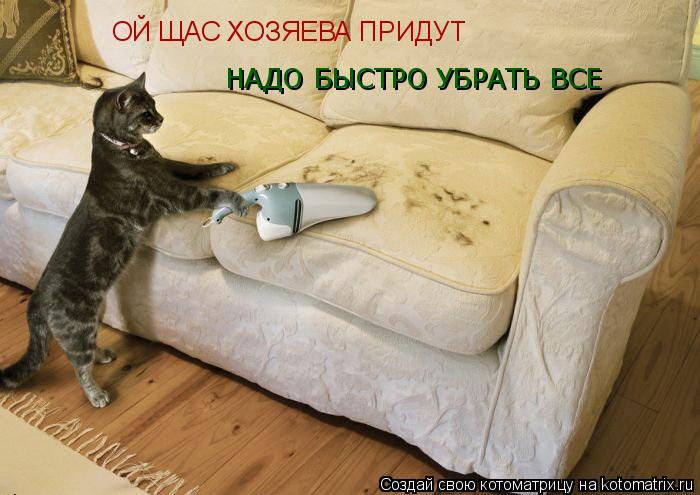 Котоматрица: ОЙ ЩАС ХОЗЯЕВА ПРИДУТ НАДО БЫСТРО УБРАТЬ ВСЕ