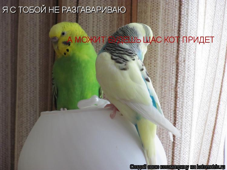 Котоматрица: Я С ТОБОЙ НЕ РАЗГАВАРИВАЮ А МОЖИТ БУДЕШЬ ЩАС КОТ ПРИДЕТ