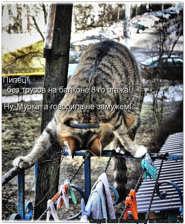 Котоматрица: Пипец! ..без трусов на балконе 8 го этажа! Ну, Мурка, а говорила не замужем!..