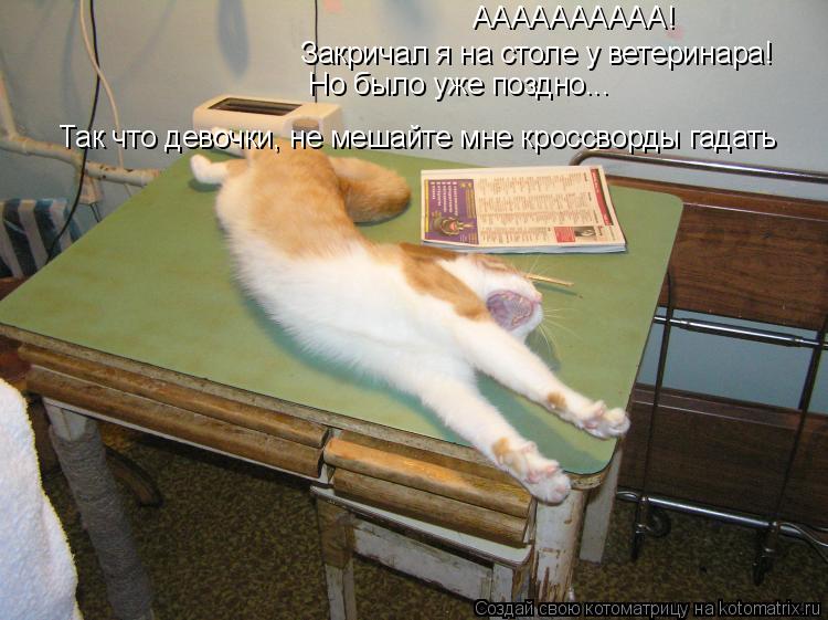 Котоматрица: АААААААААА! Закричал я на столе у ветеринара! Но было уже поздно... Так что девочки, не мешайте мне кроссворды гадать
