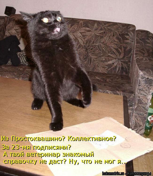 Котоматрица: Из Простоквашино? Коллектив Из Простоквашино? Коллективное? За 23-мя подписями? А твой ветеринар знакомый  справочку не даст? Ну, что не мог я.