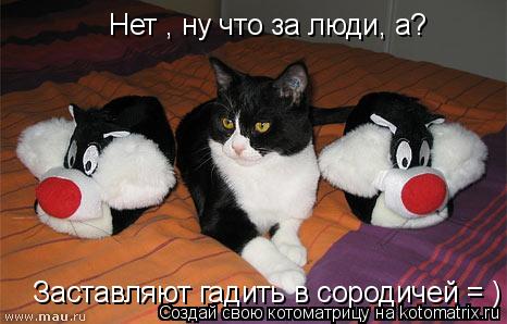 Котоматрица: Нет , ну что за люди, а?  Заставляют гадить в сородичей = )