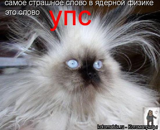 Котоматрица: самое страшное слово в ядерной физике это слово  упс