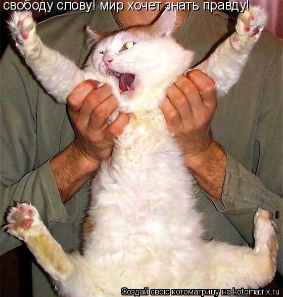 Котоматрица: свободу слову! мир хочет знать правду!