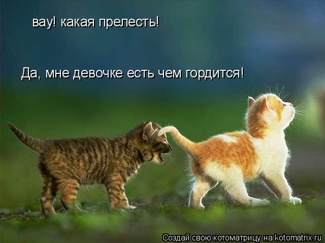 вау! какая прелесть! Да, мне девочке есть чем гордится!... Котоматрица: вау! какая прелесть! Да, мне девочке есть чем гордится!
