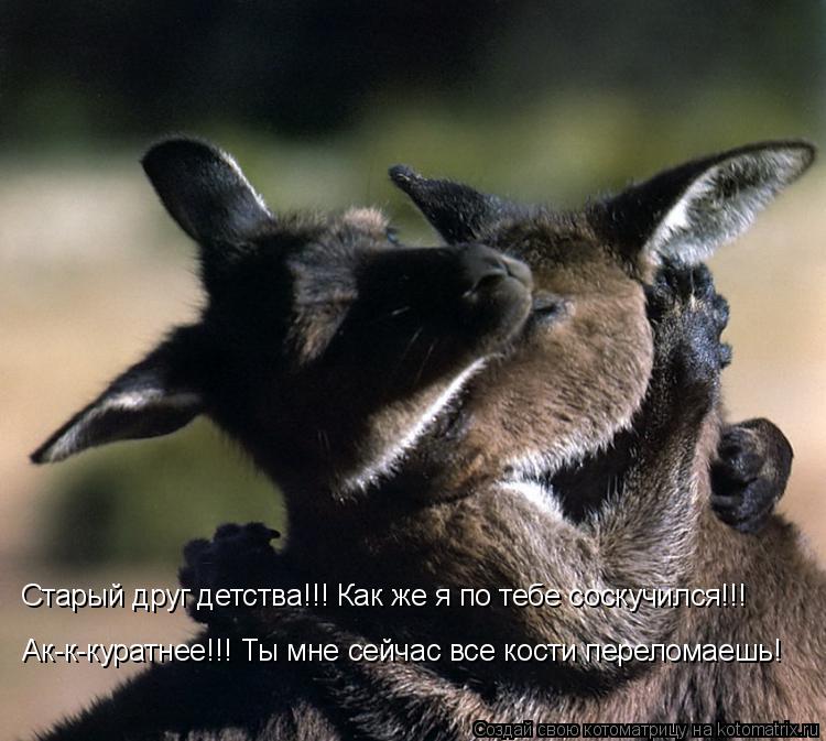 Ак-к-куратнее!!! Ты мне сейчас все кости переломаешь! Старый друг детства!!! Как же я по тебе соскучи... Котоматрица: Ак-к-куратнее!!! Ты мне сейчас все кости переломаешь! Старый друг детства!!! Как же я по тебе соскучился!!!