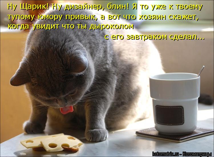 Котоматрица: Ну Щарик! Ну дизайнер, блин! Я то уже к твоему тупому юмору привык, а вот что хозяин скажет, когда увидит что ты дыроколом  с его завтраком сде