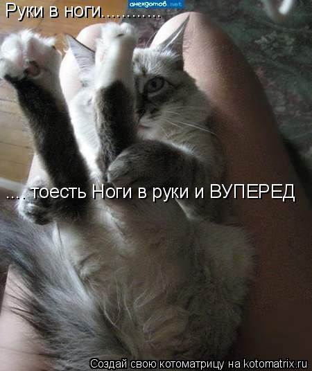 Руки в ноги............ .... тоесть Ноги в руки и ВУПЕРЕД... Котоматрица: Руки в ноги............ .... тоесть Ноги в руки и ВУПЕРЕД