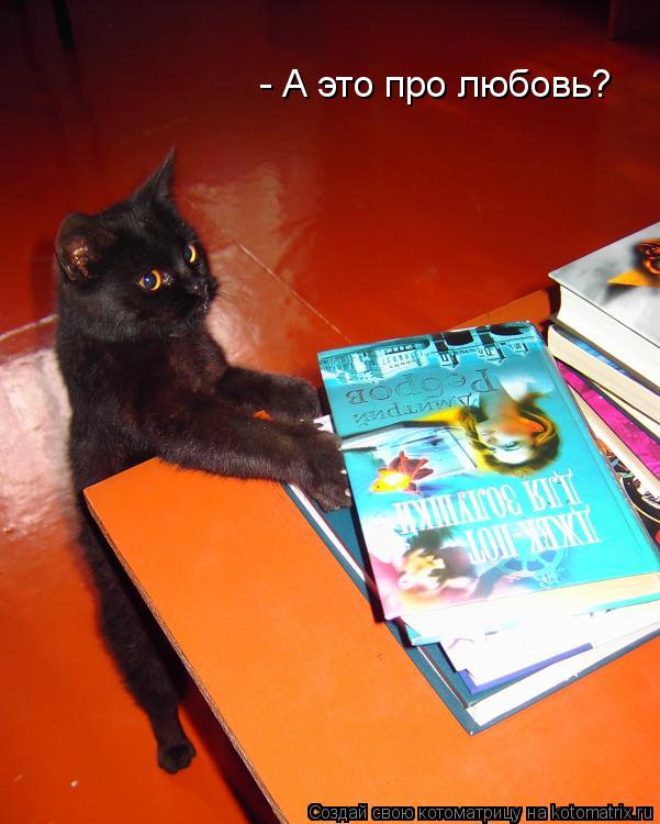 - А это про любовь?... Котоматрица: - А это про любовь?
