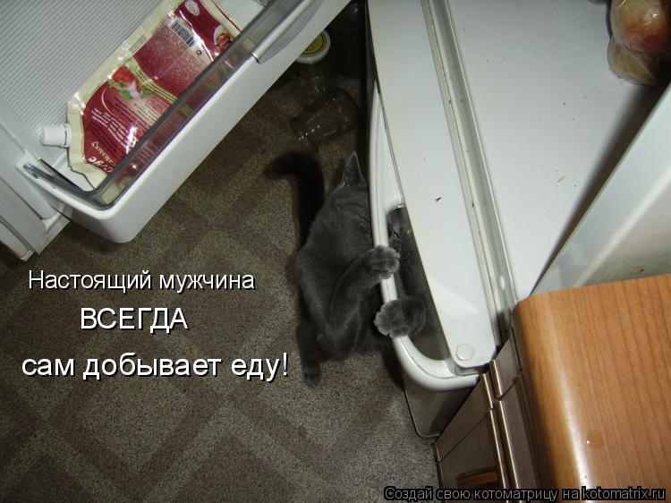 Настоящий мужчина ВСЕГДА сам добывает еду!... Котоматрица: Настоящий мужчина ВСЕГДА сам добывает еду!