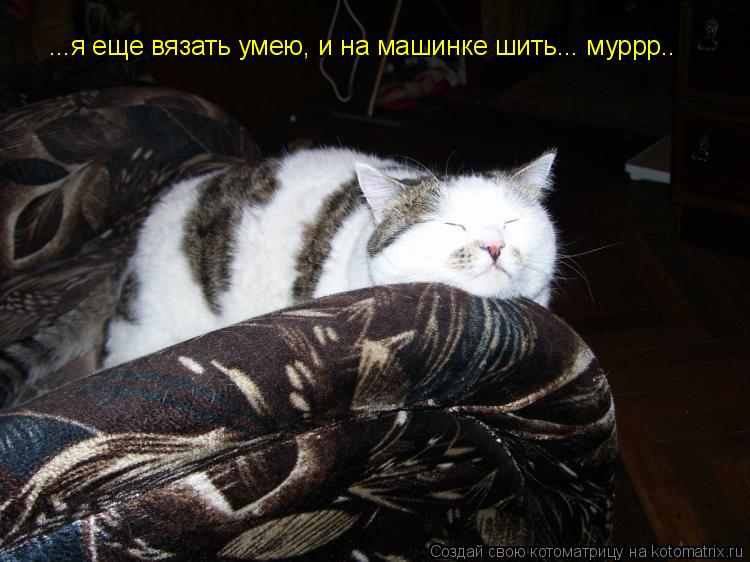 ...я еще вязать умею, и на машинке шить... муррр..... Котоматрица: ...я еще вязать умею, и на машинке шить... муррр..