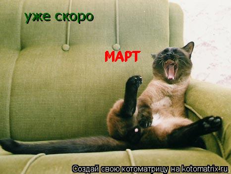 уже скоро МАРТ МАРТ... Котоматрица: уже скоро МАРТ МАРТ