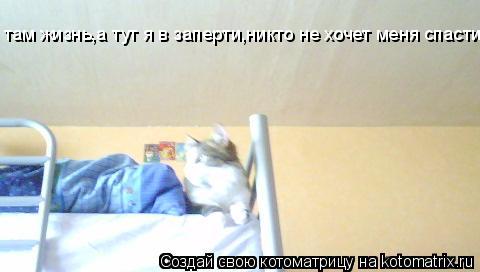 там жизнь,а тут я в заперти,никто не хочет меня спасти?... Котоматрица: там жизнь,а тут я в заперти,никто не хочет меня спасти?