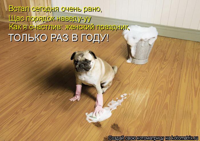 Котоматрица: Встал сегодня очень рано,  Щас порядок наведу-уу Как я счастлив: женский праздник,  ТОЛЬКО РАЗ В ГОДУ!