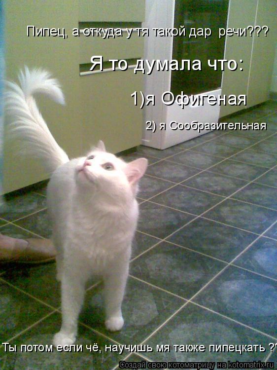 Пипец, а откуда у тя такой дар речи??? Ты потом если чё, научишь мя также пипецкать ??? Я то думала ... Котоматрица: Пипец, а откуда у тя такой дар речи??? Ты потом если чё, научишь мя также пипецкать ??? Я то думала что: 1)я Офигеная 2) я Сообразительная