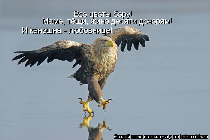 Всэ цвэты бэру! Маме, тёщи, жинэ десяти дочэрям! И канэшна - любовнице!... Котоматрица: Всэ цвэты бэру! Маме, тёщи, жинэ десяти дочэрям! И канэшна - любовнице!