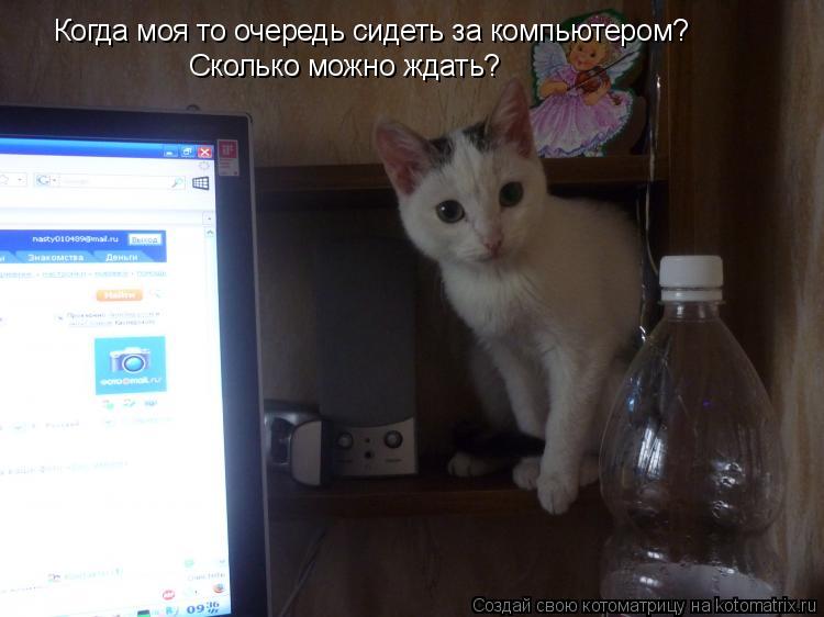 Когда моя то очередь сидеть за компьютером? Сколько можно ждать?... Котоматрица: Когда моя то очередь сидеть за компьютером? Сколько можно ждать?