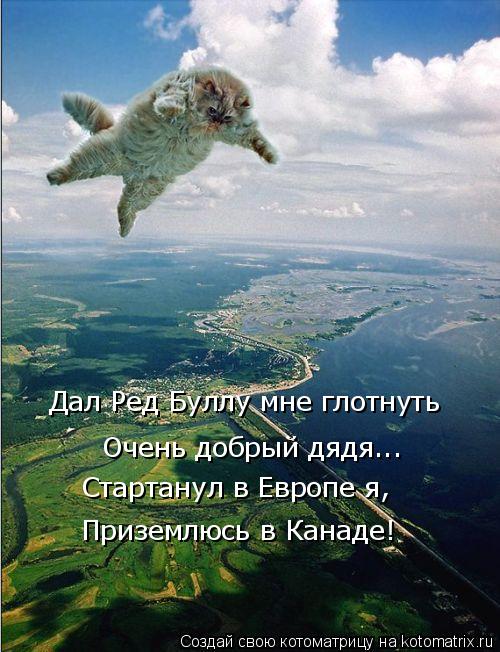 Дал Ред Буллу мне глотнуть Очень добрый дядя... Стартанул в Европе я, Приземлюсь в Канаде!... Котоматрица: Дал Ред Буллу мне глотнуть Очень добрый дядя... Стартанул в Европе я, Приземлюсь в Канаде!