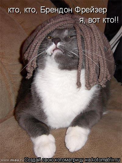 кто, кто, Брендон Фрейзер я, вот кто!!... Котоматрица: кто, кто, Брендон Фрейзер я, вот кто!!