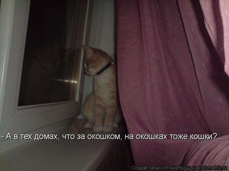Котоматрица: - А в тех домах, что за окошком, на окошках тоже кошки?...