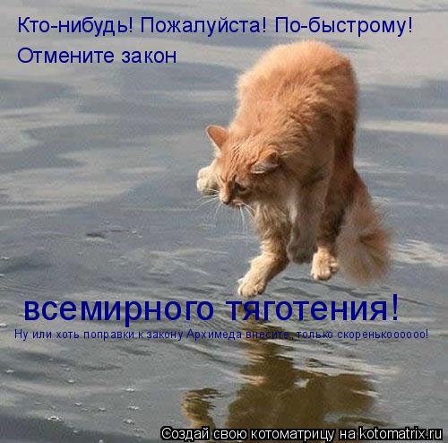 Котоматрица: Кто-нибудь! Пожалуйста! По-быстрому! Отмените закон всемирного тяготения! Ну или хоть поправки к закону Архимеда внесите, только скоренькоо