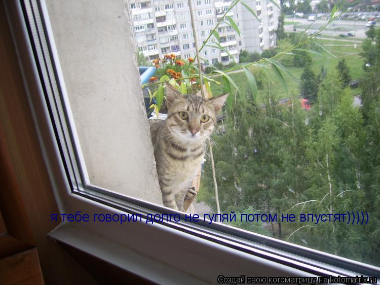 Котоматрица: я тебе говорил долго не гуляй потом не впустят)))))