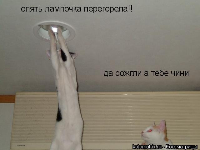 Котоматрица: опять лампочка перегорела!! да сожгли а тебе чини