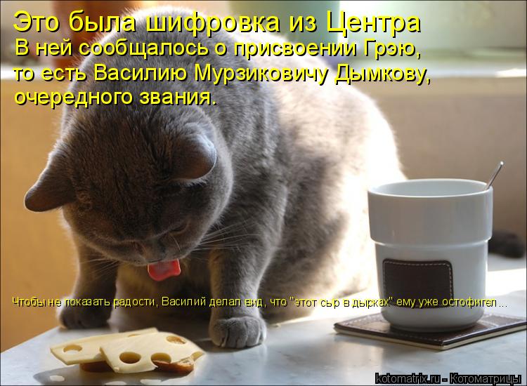 Котоматрица: Это была шифровка из Центра В ней сообщалось о присвоении Грэю, то есть Василию Мурзиковичу Дымкову, очередного звания. Чтобы не показать р