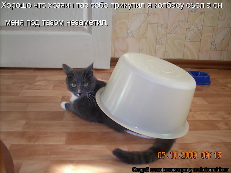 Котоматрица: Хорошо что хозяин таз себе прикупил я колбасу съел а он меня под тазом незаметил.