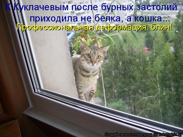 К Куклачевым после бурных застолий приходила не белка, а кошка... Профессиональная деформация, блин!... Котоматрица: К Куклачевым после бурных застолий приходила не белка, а кошка... Профессиональная деформация, блин!