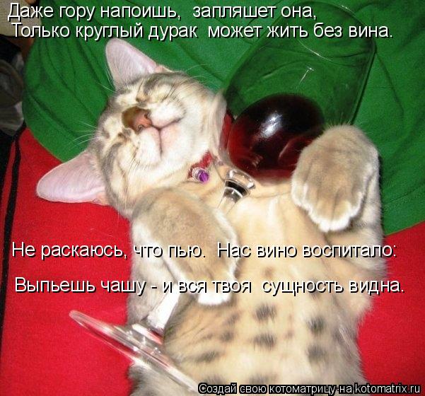 Котоматрица: Даже гору напоишь,  запляшет она, Только круглый дурак  может жить без вина. Не раскаюсь, что пью.  Нас вино воспитало: Выпьешь чашу - и вся тво