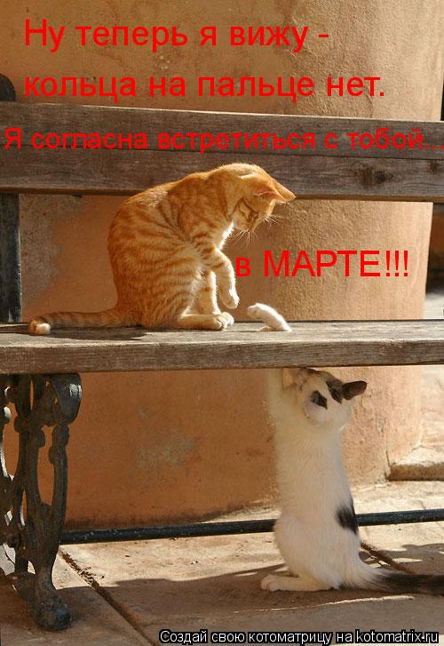 Ну теперь я вижу - кольца на пальце нет. Я согласна встретиться с тобой... в МАРТЕ!!!... Котоматрица: Ну теперь я вижу - кольца на пальце нет. Я согласна встретиться с тобой... в МАРТЕ!!!