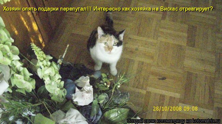 Котоматрица: Хозяин опять подарки перепутал!!! Интересно как хозяйка на Вискас отреагирует?