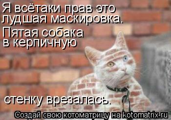 Котоматрица: Я всётаки прав это  лудшая маскировка. Пятая собака в керпичную стенку врезалась.