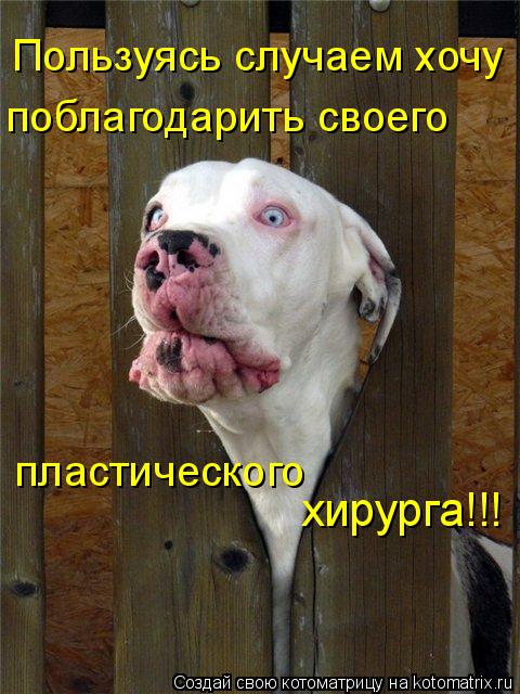 Котоматрица: Пользуясь случаем хочу поблагодарить своего пластического  хирурга!!!