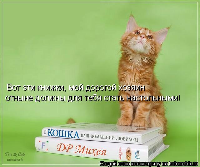 Вот эти книжки, мой дорогой хозяин отныне должны для тебя стать настольными!... Котоматрица: Вот эти книжки, мой дорогой хозяин отныне должны для тебя стать настольными!