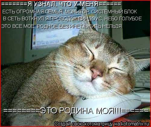 Котоматрица: =======Я УЗНАЛ, ЧТО У МЕНЯ====== ЕСТЬ ОГРОМНАЯ СЕМЬЯ: МОНИТОР, СИСТЕМНЫЙ БЛОК В СЕТЬ ВОТКНУЛ Я ПРОВОДОК ВИНДОУС, НЕБО ГОЛУБОЕ ЭТО ВСЕ МОЕ, РОДНОЕ БЕ