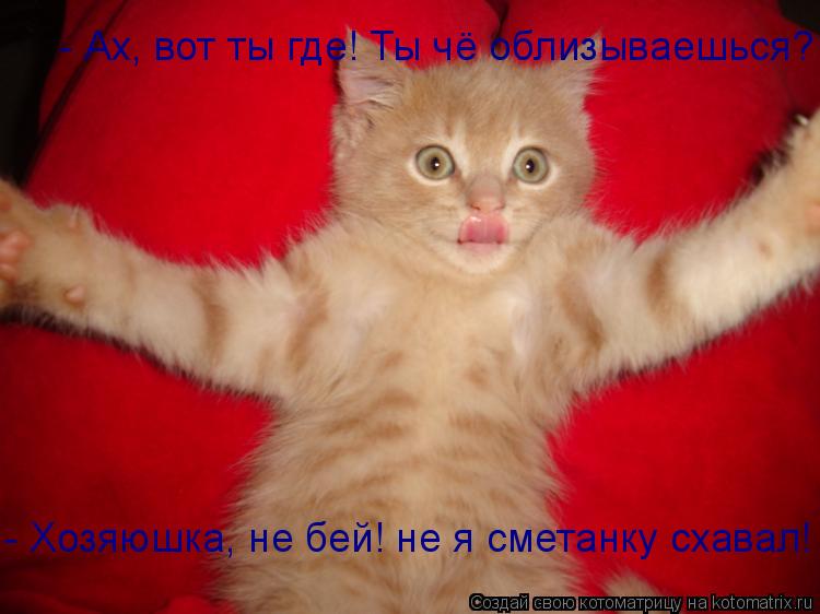 Котоматрица: - Ах, вот ты где! Ты чё облизываешься? - Хозяюшка, не бей! не я сметанку схавал!