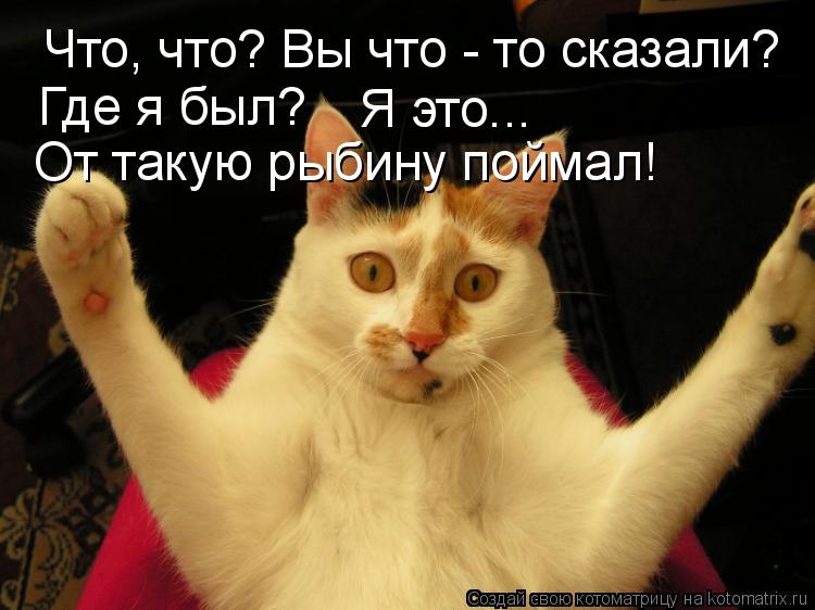 Котоматрица: Что, что? Вы что - то сказали? Где я был? Я это... От такую рыбину поймал!