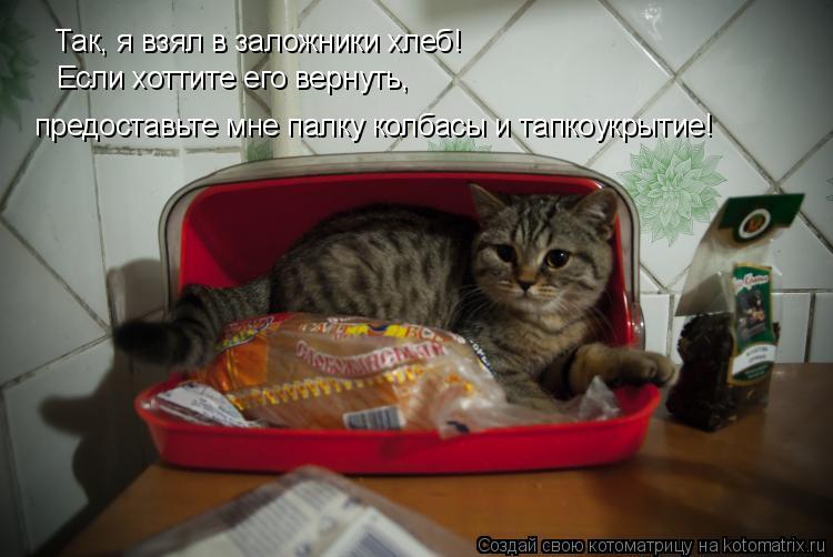 Котоматрица: Так, я взял в заложники хлеб! предоставьте мне палку колбасы и тапкоукрытие! Если хоттите его вернуть,