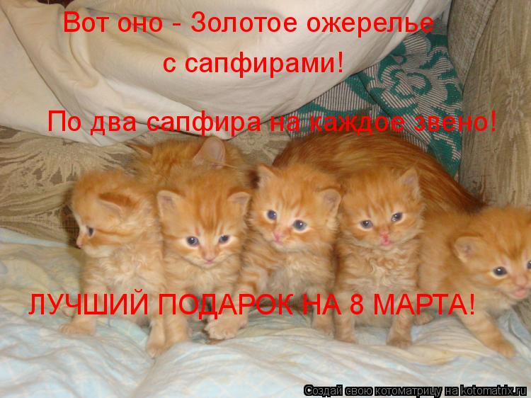 Котоматрица: Вот оно - Золотое ожерелье с сапфирами! По два сапфира на каждое звено! ЛУЧШИЙ ПОДАРОК НА 8 МАРТА!