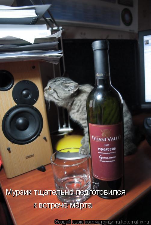 Мурзик тщательно подготовился к встрече марта... Котоматрица: Мурзик тщательно подготовился к встрече марта