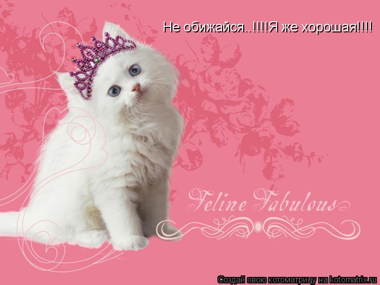 Котоматрица: Не обижайся..!!!!Я же хорошая!!!!