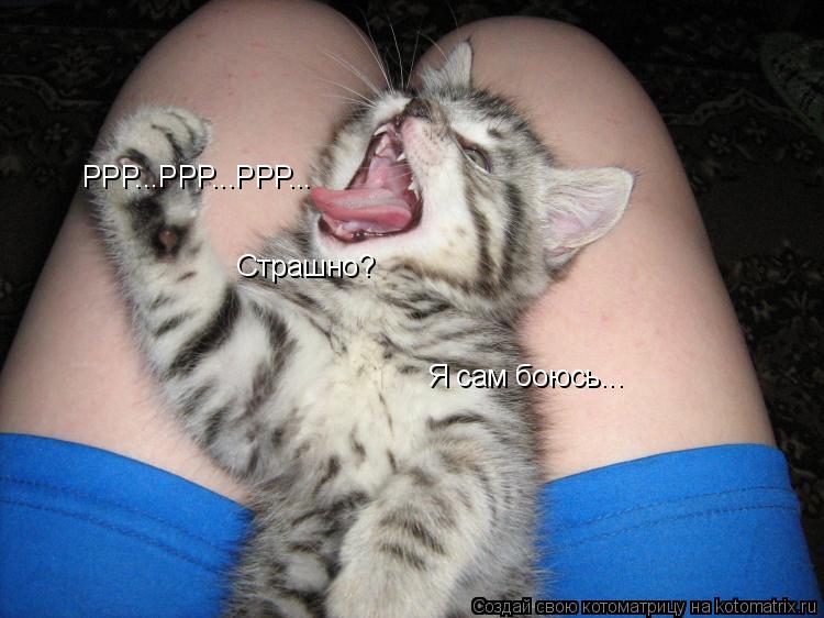 РРР...РРР...РРР... Страшно? Я сам боюсь...... Котоматрица: РРР...РРР...РРР... Страшно? Я сам боюсь...